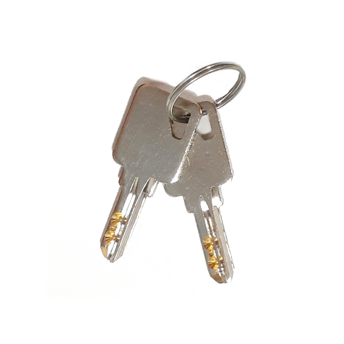 #A608 Keys (Set of 2)