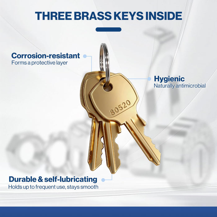 USPS-LOCKSET-3KEYS  -  1 Pcs L-1172C National Mailbox Lock Replacement C9100 with 3 Brass Keys